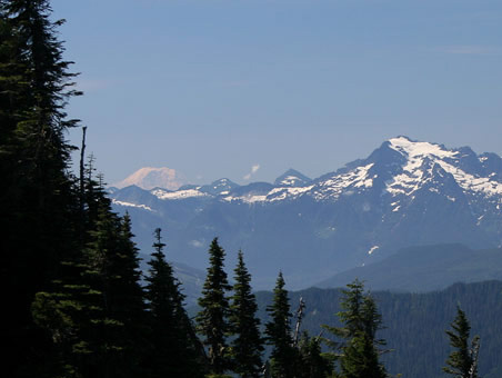 Vista of snow capped mountains with evergreens in the foreground